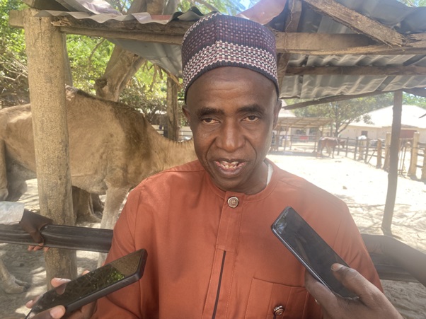 Gambia Horse and Donkey Trust