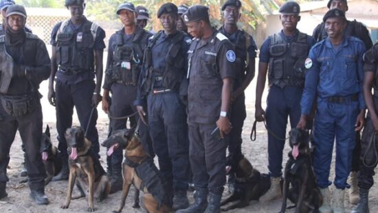 Gambia Police Force receives detective dogs to help curb crimes