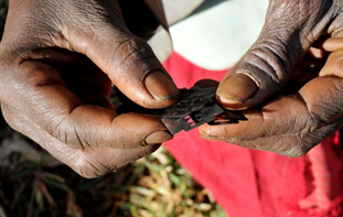 Assembly Committee Recommends That The FGM Ban Be Maintained