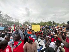 Gambian Protesters Laid Out Demands On The Government