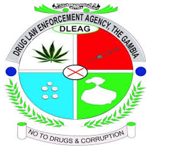 DLEAG Conducts Public Drug Destruction Exercise Amid Major Seizures