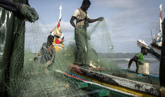 EU Vessels Will Stop Fishing in Senegal Once the Agreement Expires