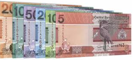 Gambia-remittances-2024