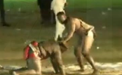 Hoyantan-wrestling-victory