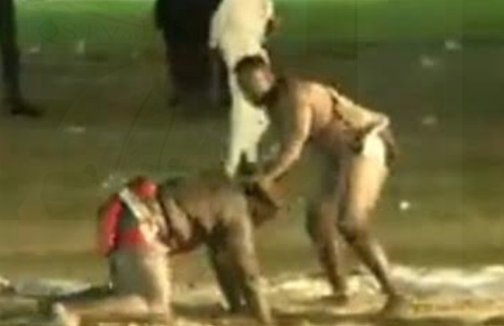 Hoyantan-wrestling-victory