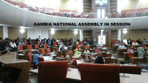 Gambia-diaspora-voting-rejection