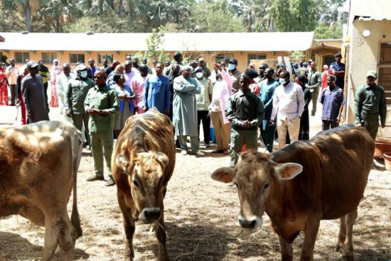 Gambia-dairy-industry-modernization