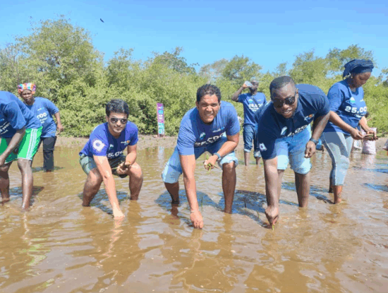 Africell-Mangrove-Planting-Gambia