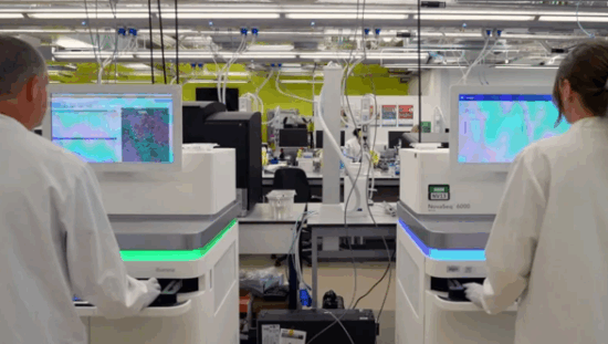 Synthetic-Human-Genome-Project