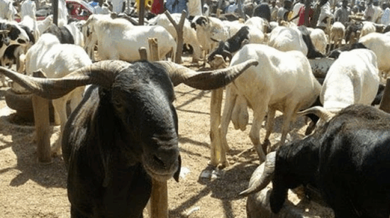 Nigeria-cost-of-living-crisis-Eid-al-Adha