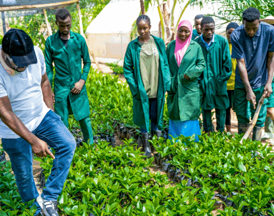 Youth-in-Food-Security
