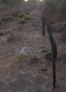 Gunjur-Berending-Land-Dispute-Resolution