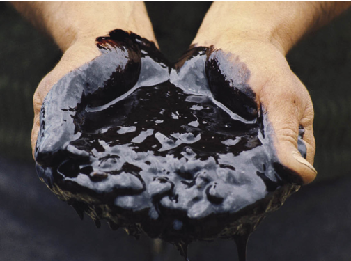 Gambia-petroleum-scandal