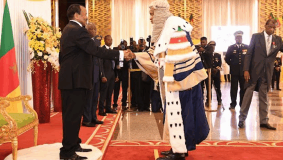 Cameroon-Presidential-Election-Appeals