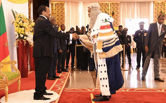 Cameroon-Presidential-Election-Appeals