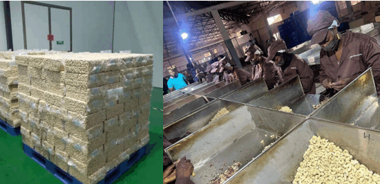 Gambia-China-Groundnut-and-Cashew-Export