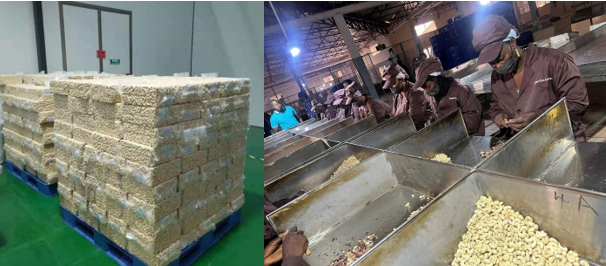 Gambia-China-Groundnut-and-Cashew-Export