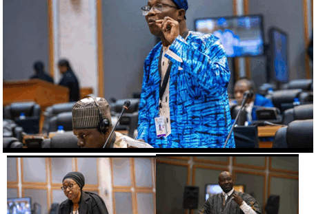 Pan-African-Parliament-Climate-Action