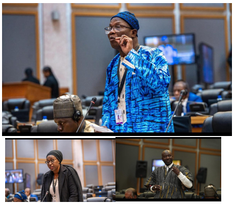 Pan-African-Parliament-Climate-Action