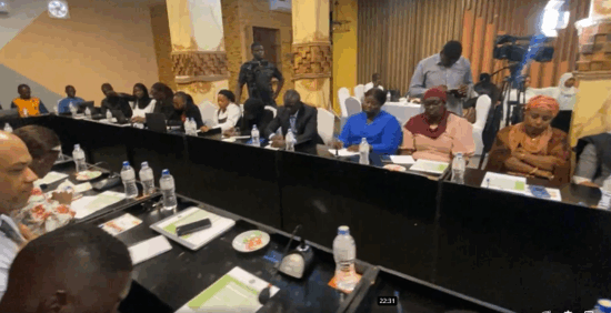 Integrated-Tax-Administration-System-Gambia