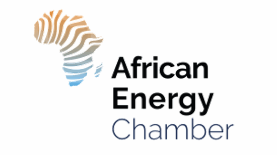 Merck-Foundation-First-Ladies-Initiative-2025