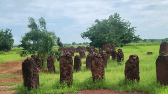 Safest-African-Countries-2025