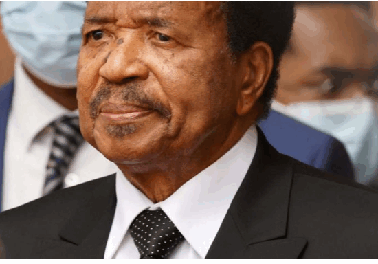 Cameroon-free-and-fair-elections