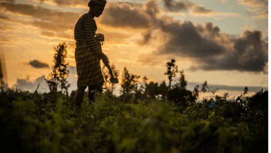 African-disaster-risk-and-energy-resilience