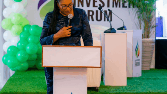 Nigeria-Gas-Investment