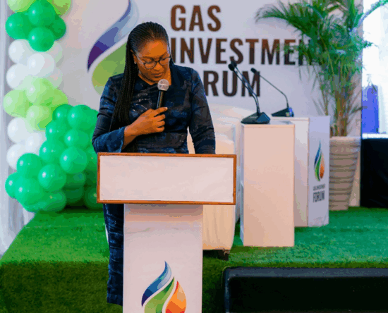 Nigeria-Gas-Investment