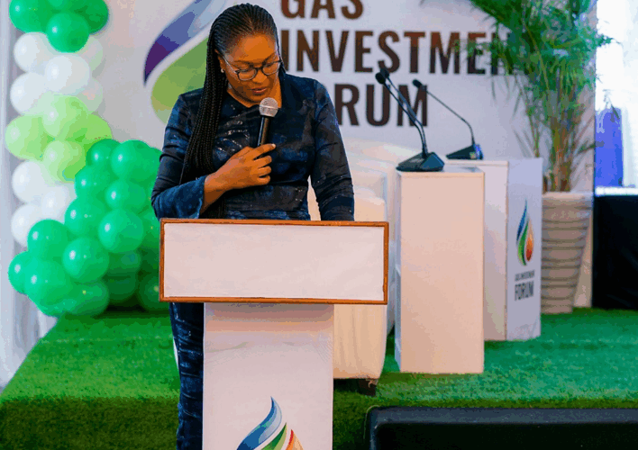 Nigeria-Gas-Investment