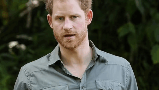 Chad-African-Parks-Partnership-Termination