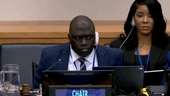 Gambia-UN-Sustainable-Development