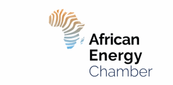 Levene-Energy-Local-Content-Champion