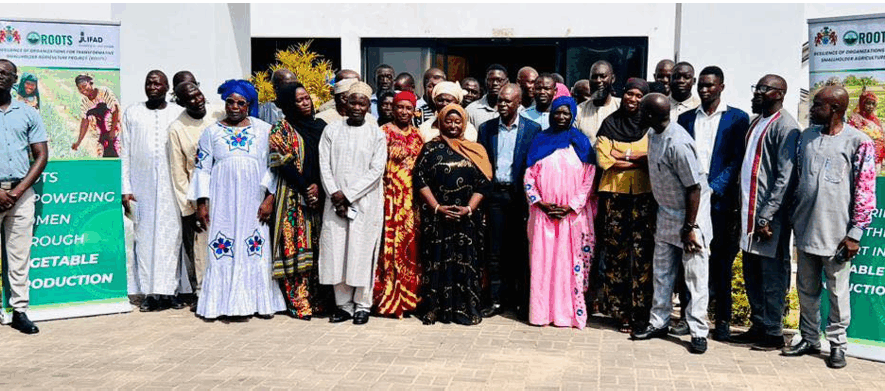 Gambia-onion-marketing-smallholder-farmers