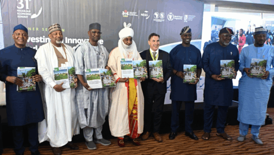 Northern-Nigeria-Agricultural-Resilience