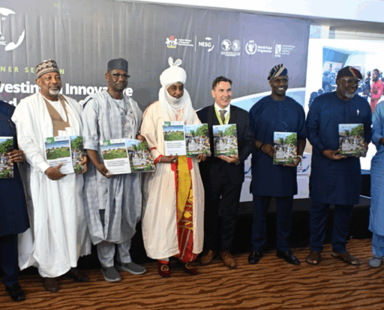 Northern-Nigeria-Agricultural-Resilience