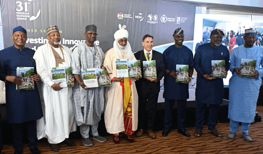 Northern-Nigeria-Agricultural-Resilience