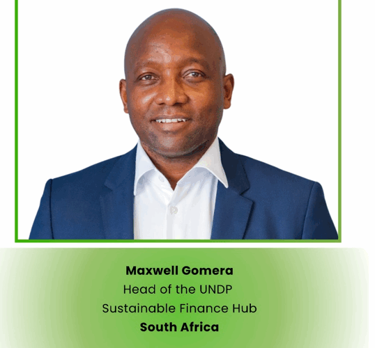 Carbon Markets for African Sustainable Development