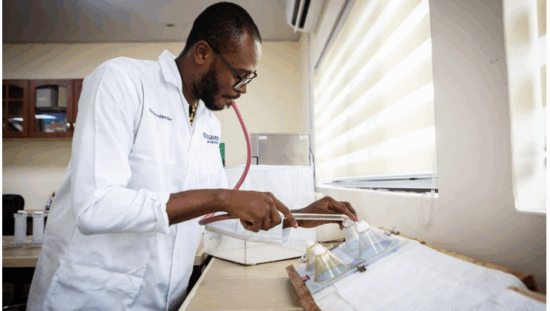 Ghana-Malaria-MoU-Vestergaard-Noguchi