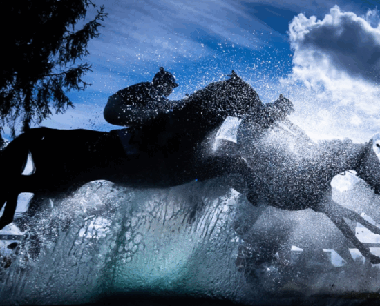 World-Sports-Photography-Awards-2026-Canon