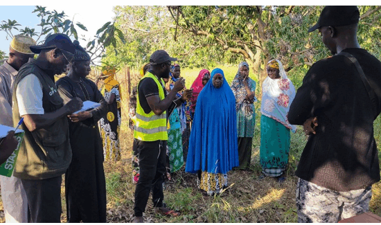Women-and-Youth-led-Agribusiness-Firms-Gambia