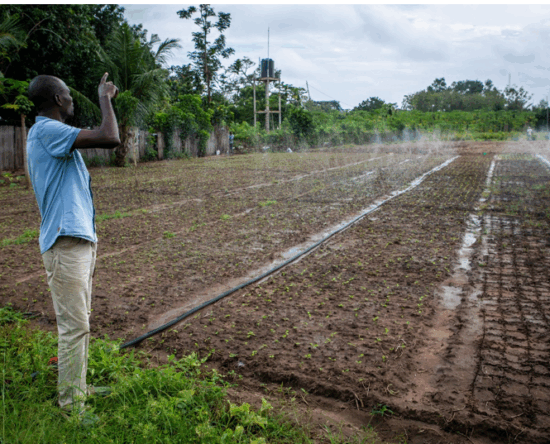 African-Climate-Resilience