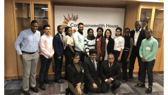 Youth-4-Africa-Framework